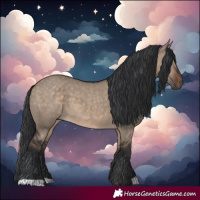 Horse Color:Brown Dun
