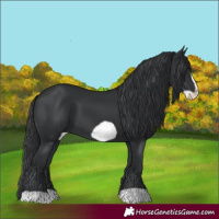 Horse Color:Black Frame 
