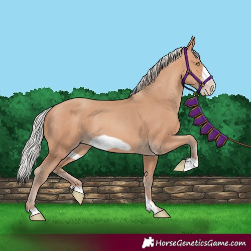 Horse Color:Silver Amber Champagne Frame 
