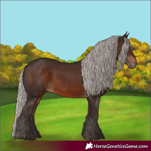 Horse Color:Silver Brown