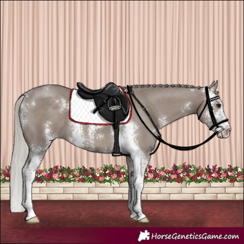 Horse Color:Silver Grullo Sabino 