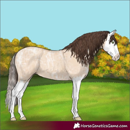 Horse Color:Amber Champagne Ice Dun Splash