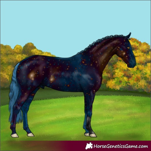 Horse Color:ERROR: UNKNOWN ANOMALY