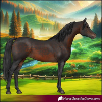 Horse Color:Brown 
