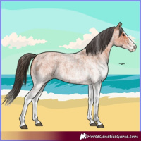Horse Color:White Spotted Bay Roan Splash  and White Spotted Bay Roan Splash 