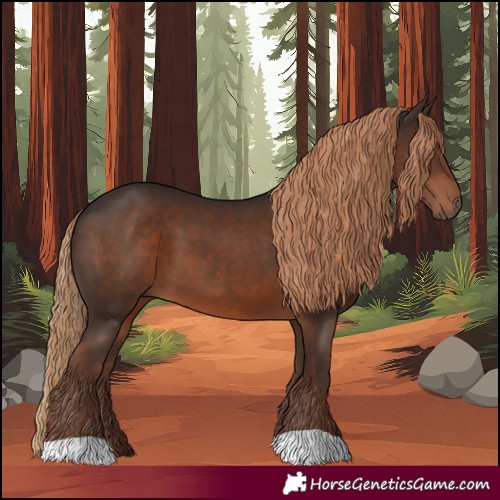 Horse Color:Liver Chestnut 
