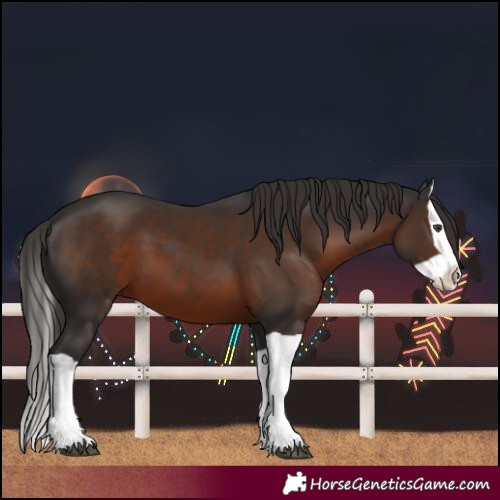 Horse Color:Liver Chestnut Splash