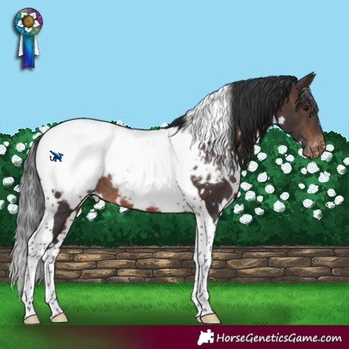 Horse Color:White Spotted Brown Mushroom Tobiano Near Fewspot Rabicano
