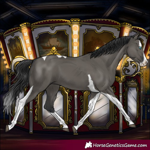 Horse Color:Grullo Splash Tobiano 