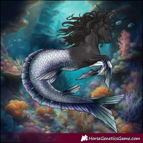 Horse Color:Smoky Black Tobiano 