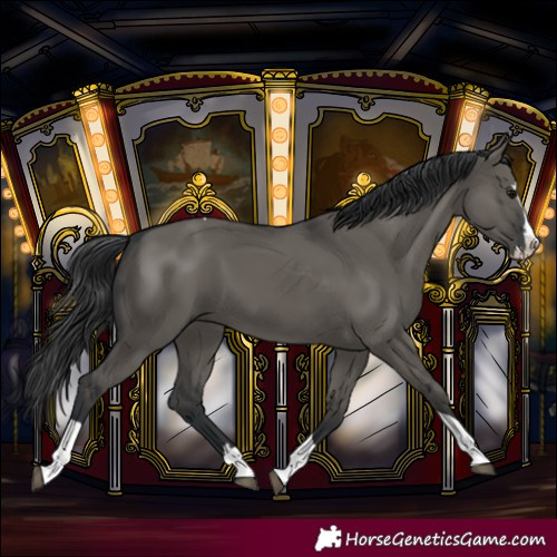 Horse Color:Grullo Splash Tobiano