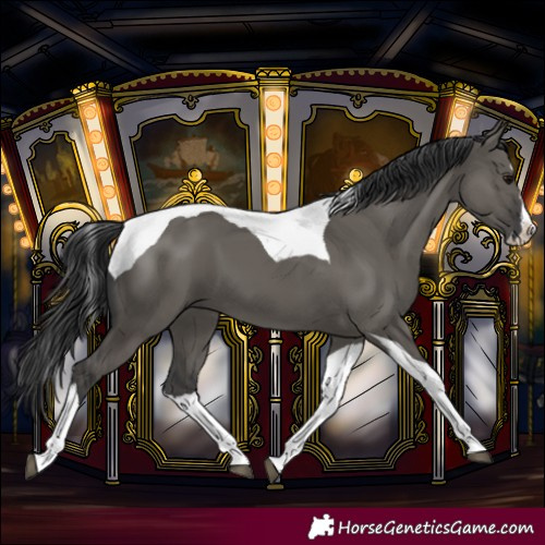 Horse Color:Grullo Splash Tobiano