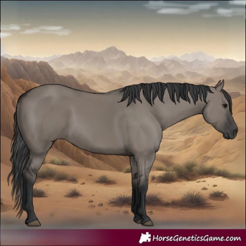 Horse Color:Grullo 