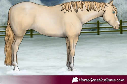 Horse Color:Smoky Black Pearl