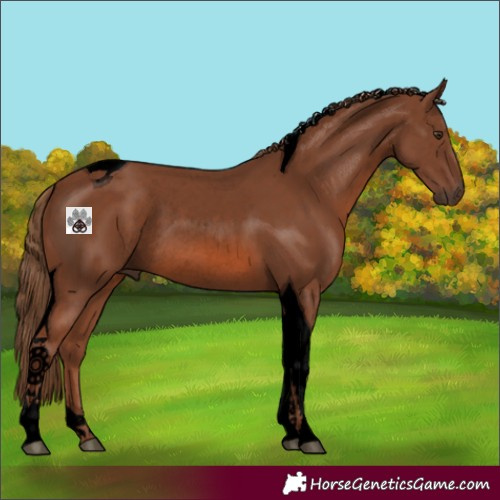 Horse Color:Void Chestnut Tobiano Rabicano
