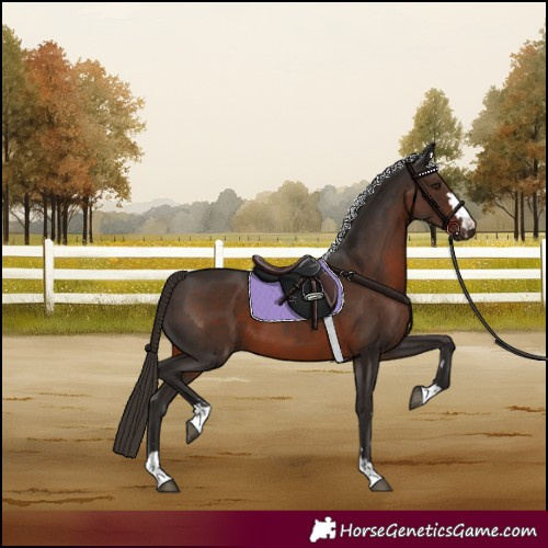 Horse Color:Liver Chestnut