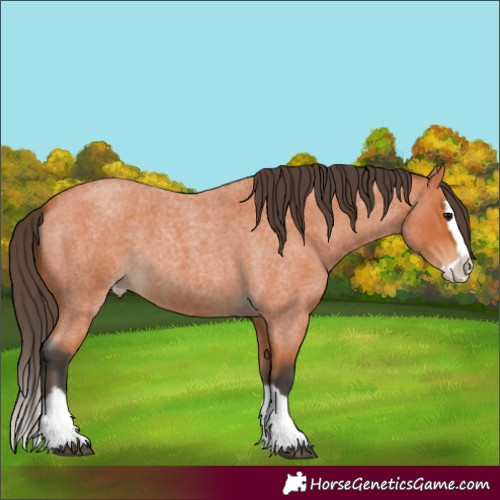 Horse Color:Bay Roan Splash Varnish