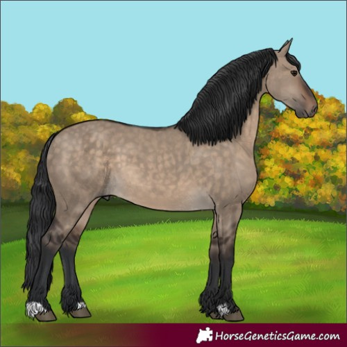 Horse Color:Brown Dun