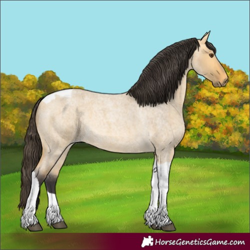 Horse Color:Buckskin Roan Dun Tobiano