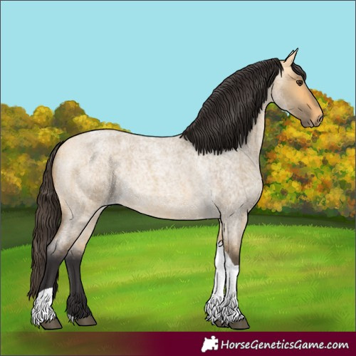 Horse Color:Buckskin Roan Dun Tobiano 