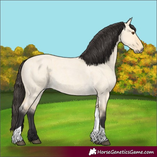 Horse Color:Buckskin Roan Dun Tobiano 