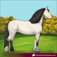 Horse Color:Buckskin Roan Dun Tobiano 