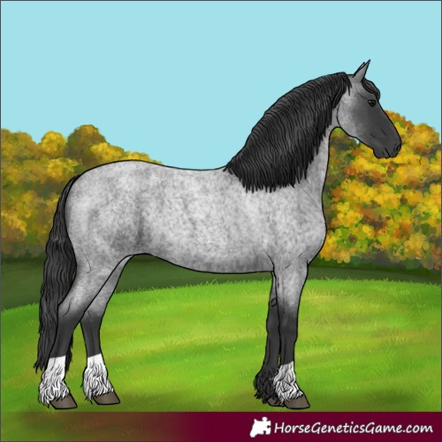 Horse Color:Blue Roan 