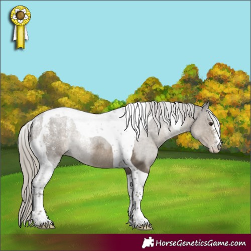 Horse Color:Powder White Silver Smoky Grullo Tobiano Rabicano 
