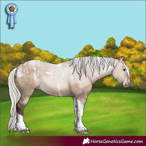 Horse Color:Powder White Silver Brown Dun Tobiano Rabicano