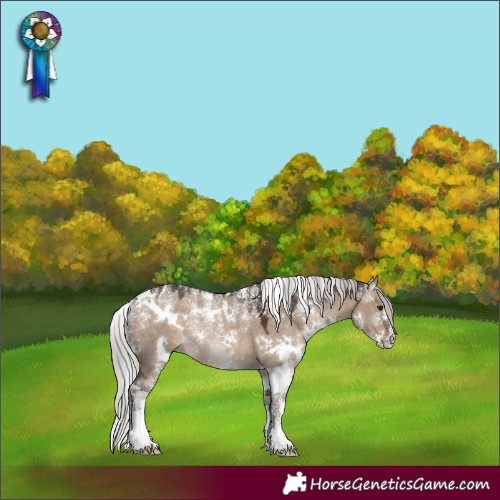 Horse Color:Powder White White Spotted Silver Brown Dun Rabicano