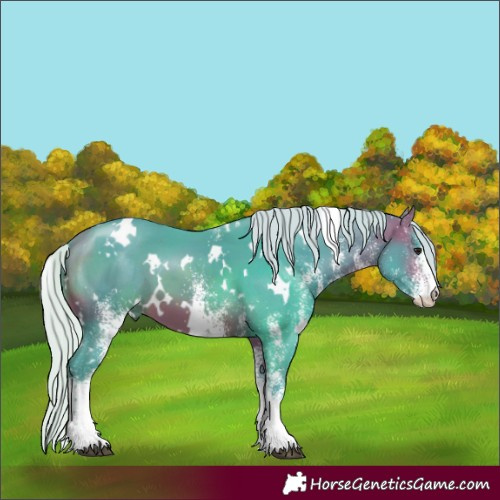 Horse Color:Watercolor White Spotted Silver Bay 