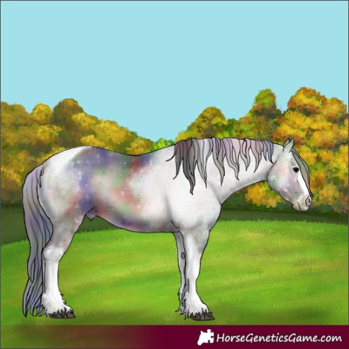 Horse Color:Nacre Blue Onyx Tobiano
