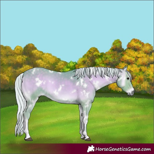 Horse Color:Watercolor White Spotted Silver Smoky Blue Onyx