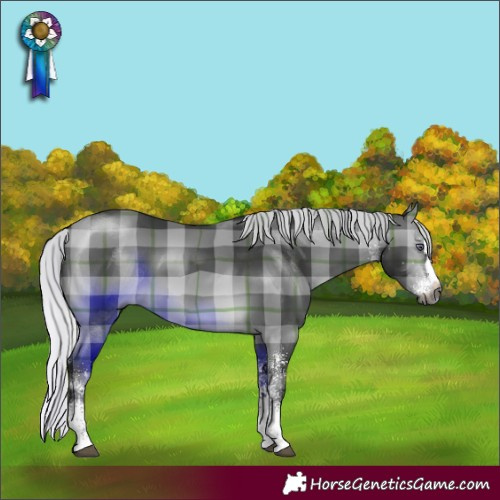 Horse Color:Gray Plaid White Spotted Silver Bay Chinchilla Splash