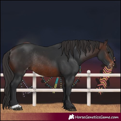 Horse Color:Brown Varnish Rabicano 