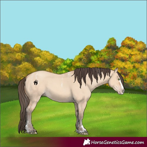 Horse Color:Powder White Amber Champagne Dun Splash 
