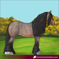 Horse Color:Bay Roan 