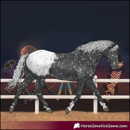Horse Color:Silver Black Chinchilla Tobiano Snowcap