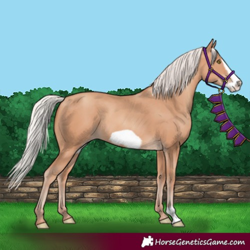 Horse Color:Silver Amber Champagne Frame
