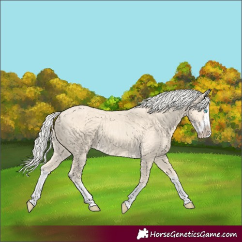 Horse Color:Cremello Splash  and Cremello Splash 