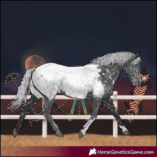 Horse Color:Silver Black Chinchilla Tobiano Near Fewspot 