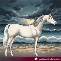 Horse Color:Cremello Roan Splash and Palomino Roan Pearl Splash
