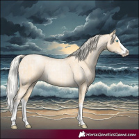 Horse Color:Cremello Roan Splash and Palomino Roan Pearl Splash