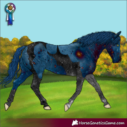 Horse Color:ERROR: UNKNOWN ANOMALY