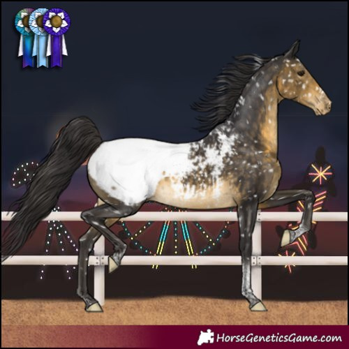 Horse Color:Buckskin Tobiano Near Fewspot 