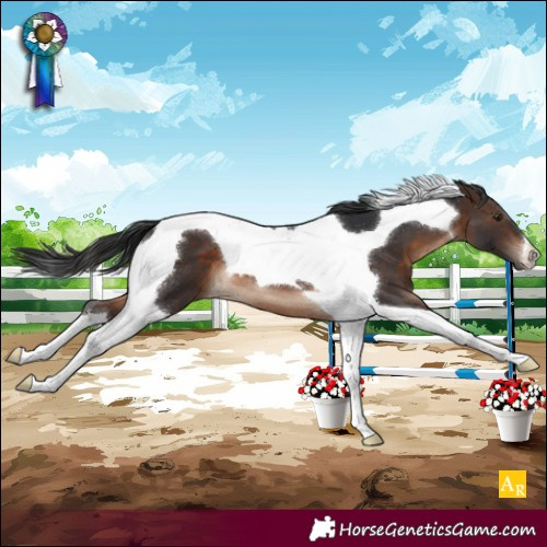 Horse Color:Brown Tobiano