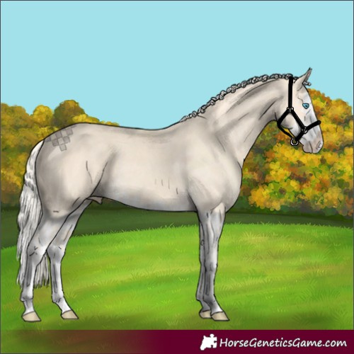 Horse Color:Cremello Splash and Cremello Splash