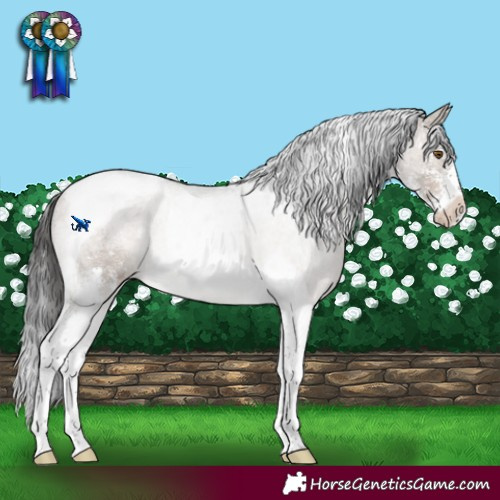 Horse Color:Brown Dun Mushroom Sabino Tobiano Snowcap Rabicano Brindle 