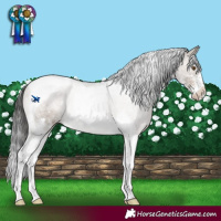 Horse Color:Brown Dun Mushroom Sabino Tobiano Snowcap Rabicano Brindle 