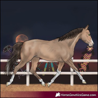 Horse Color:Amber Champagne Splash Tobiano